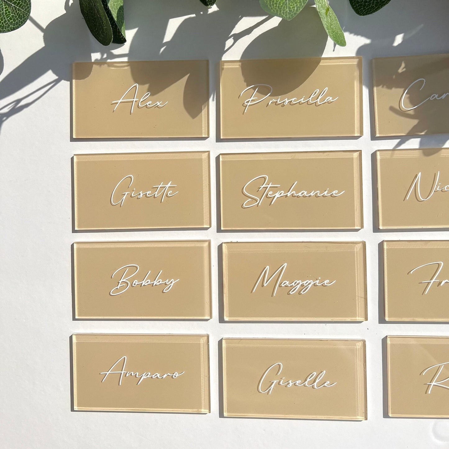 Acrylic Rectangle Name Place Card Personalized Minimalist Solid Beige Cream Color for Dinner Party, Events, Birthday, Bridal Shower, Wedding